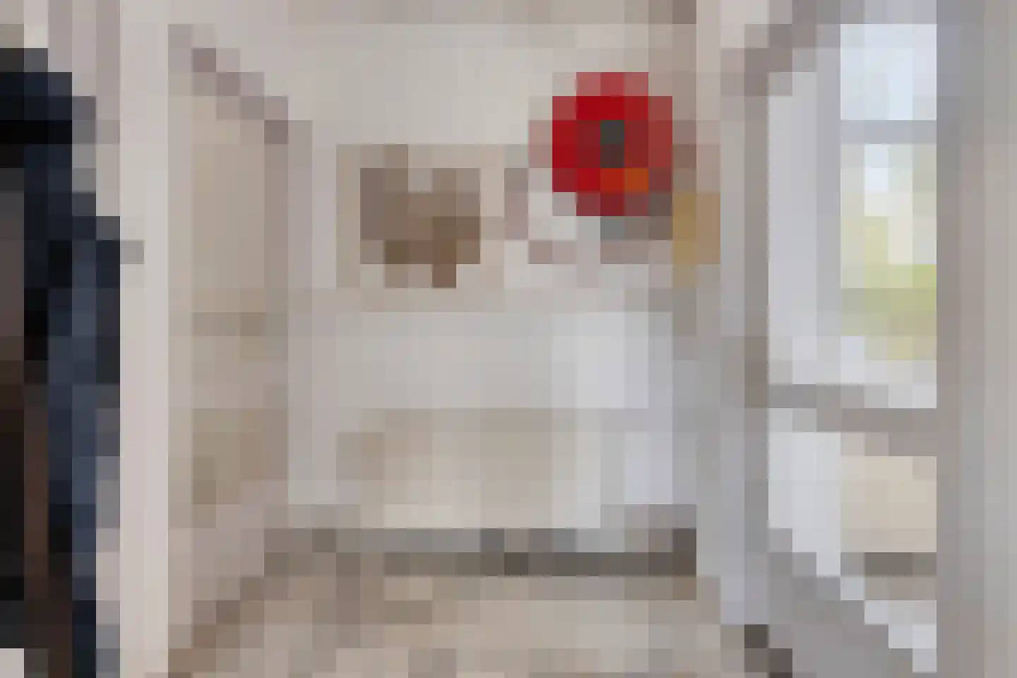 Hoofdstraat 4 De Steeg thumbnail 28
