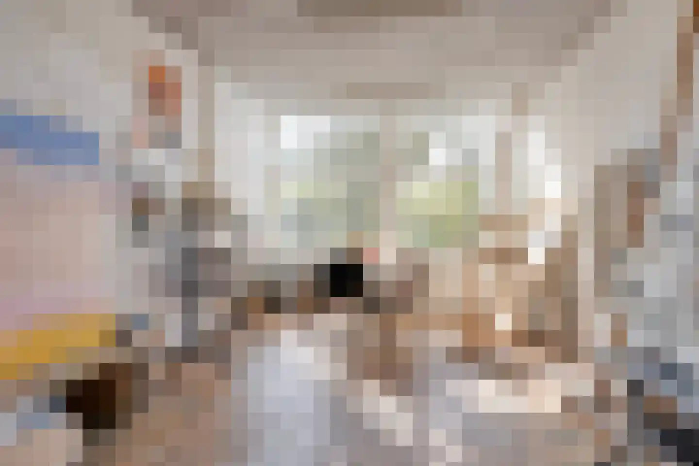 Hoofdstraat 4 De Steeg thumbnail 30