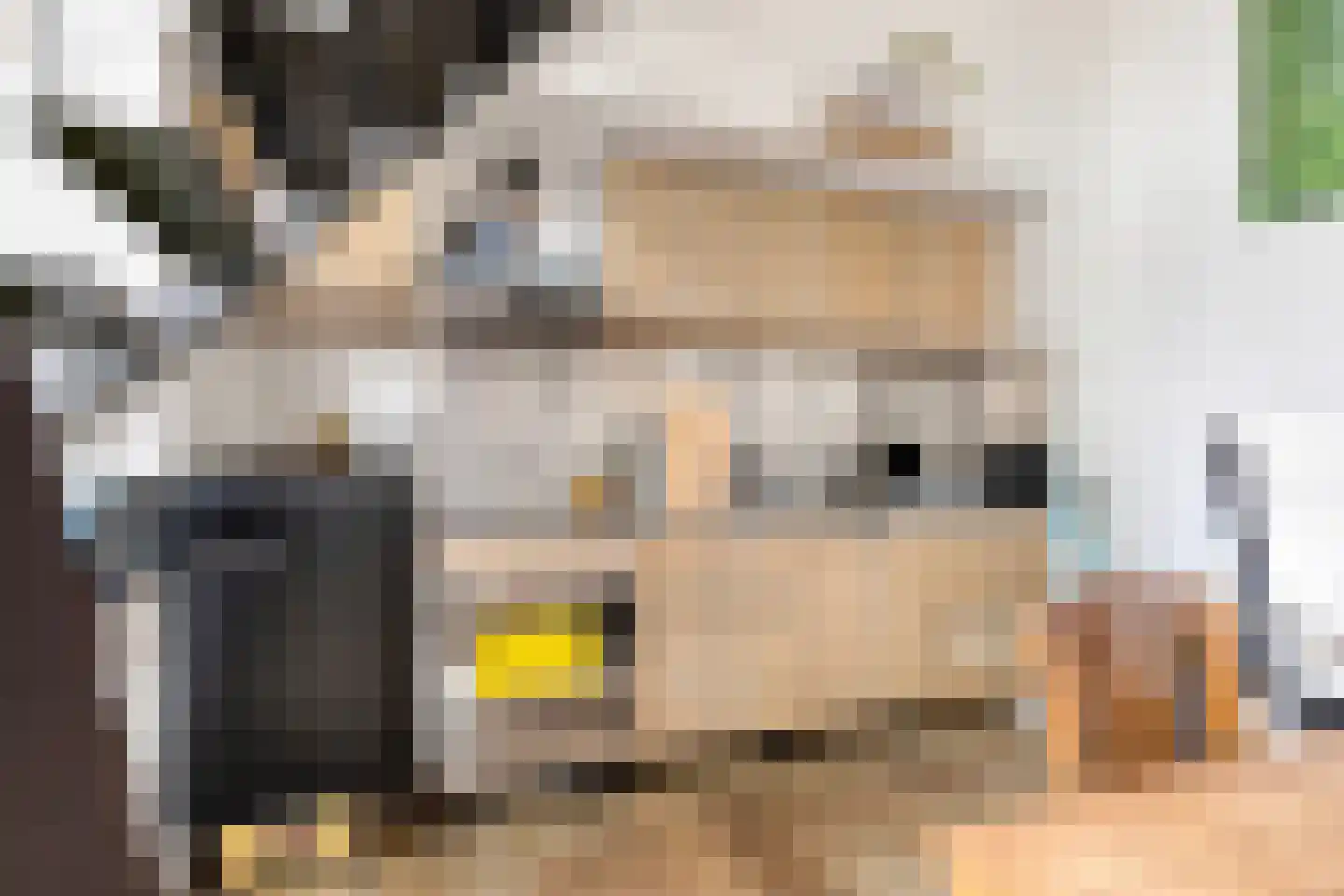 Hoofdstraat 4 De Steeg thumbnail 33