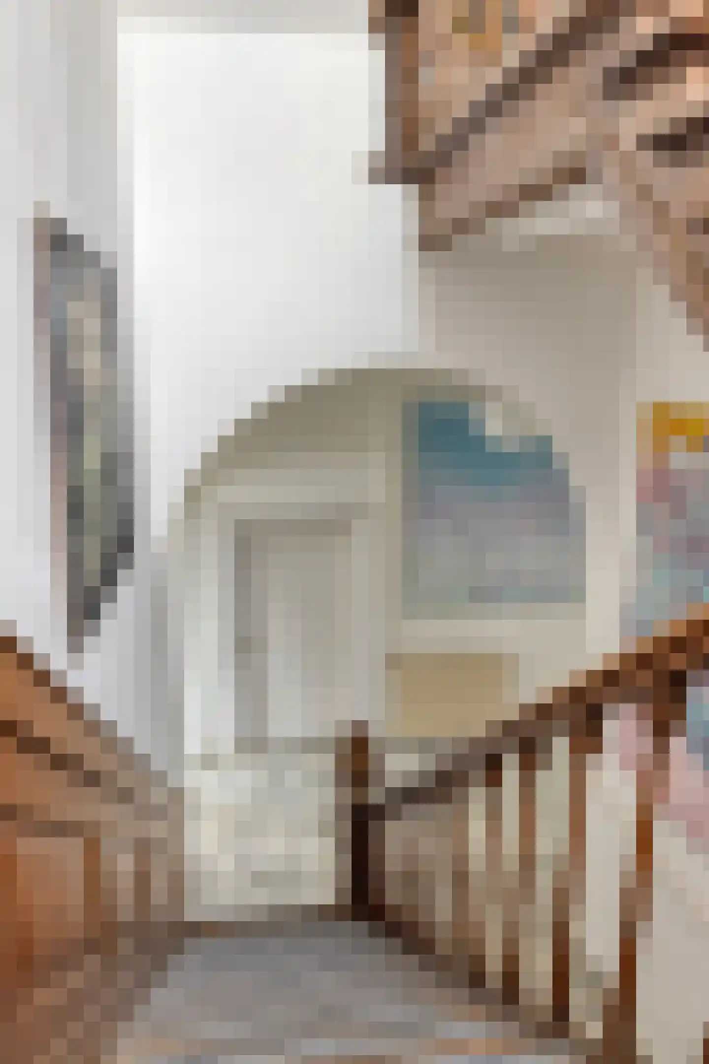 Hoofdstraat 4 De Steeg thumbnail 35