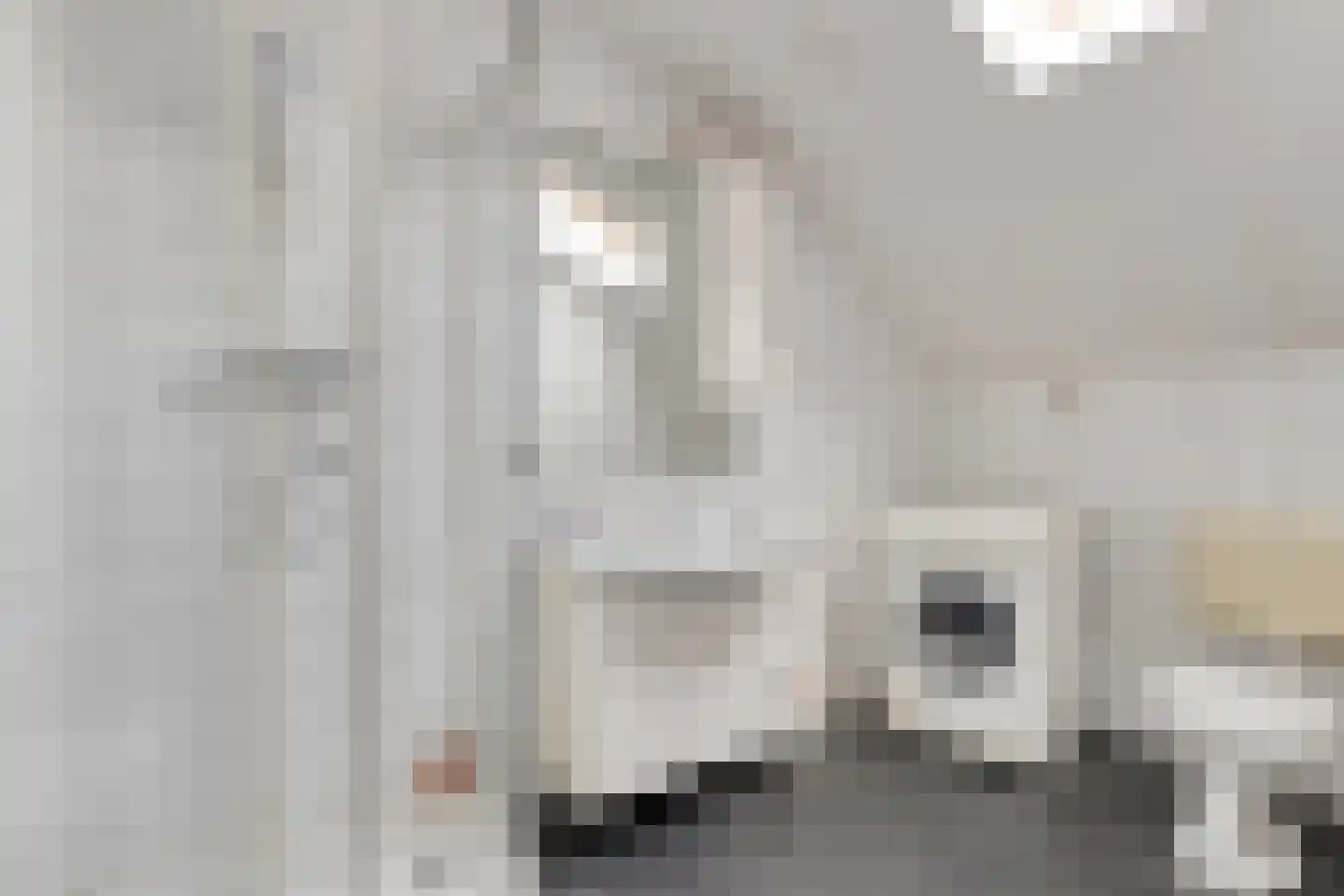 Hoofdstraat 4 De Steeg thumbnail 38