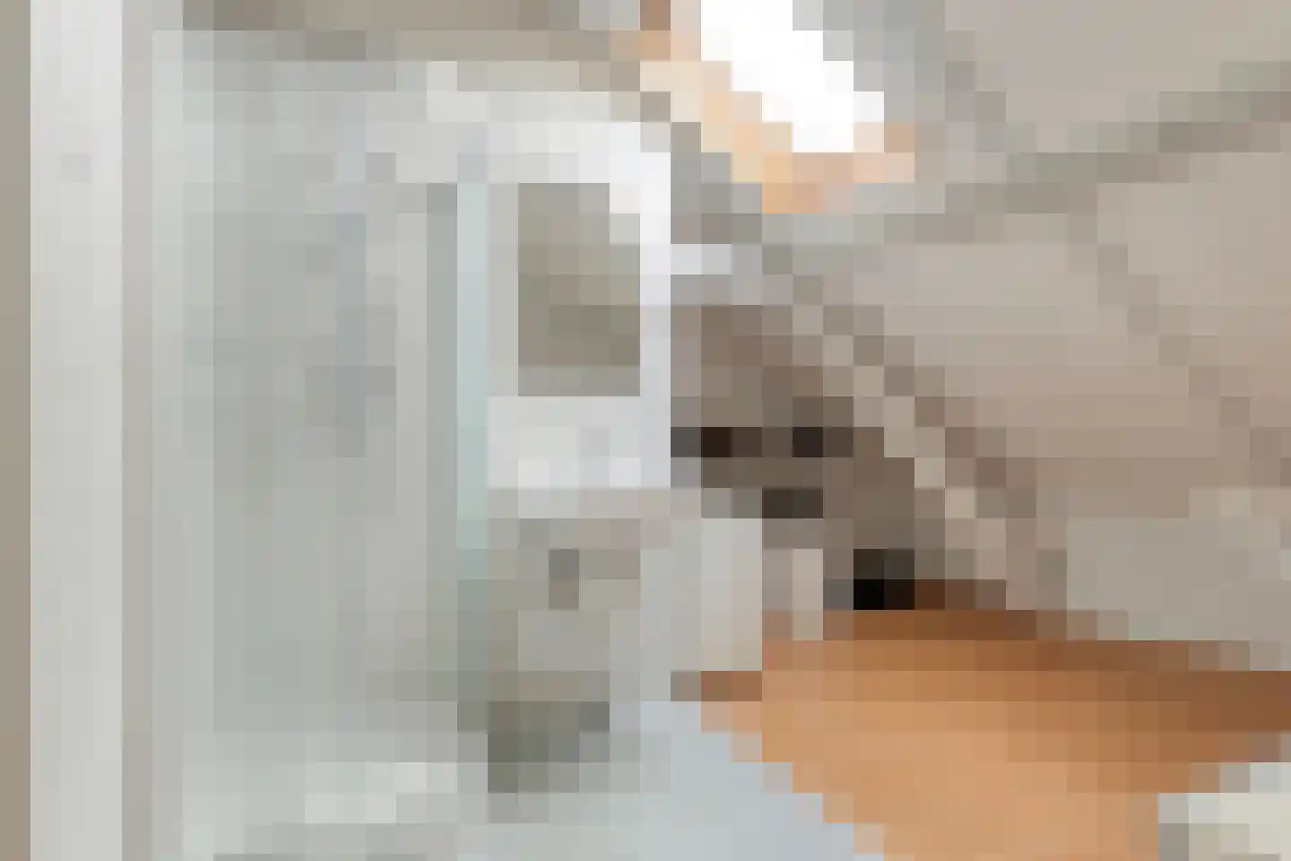 Hoofdstraat 4 De Steeg thumbnail 43