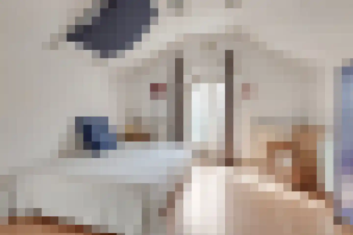 Hoofdstraat 4 De Steeg thumbnail 47