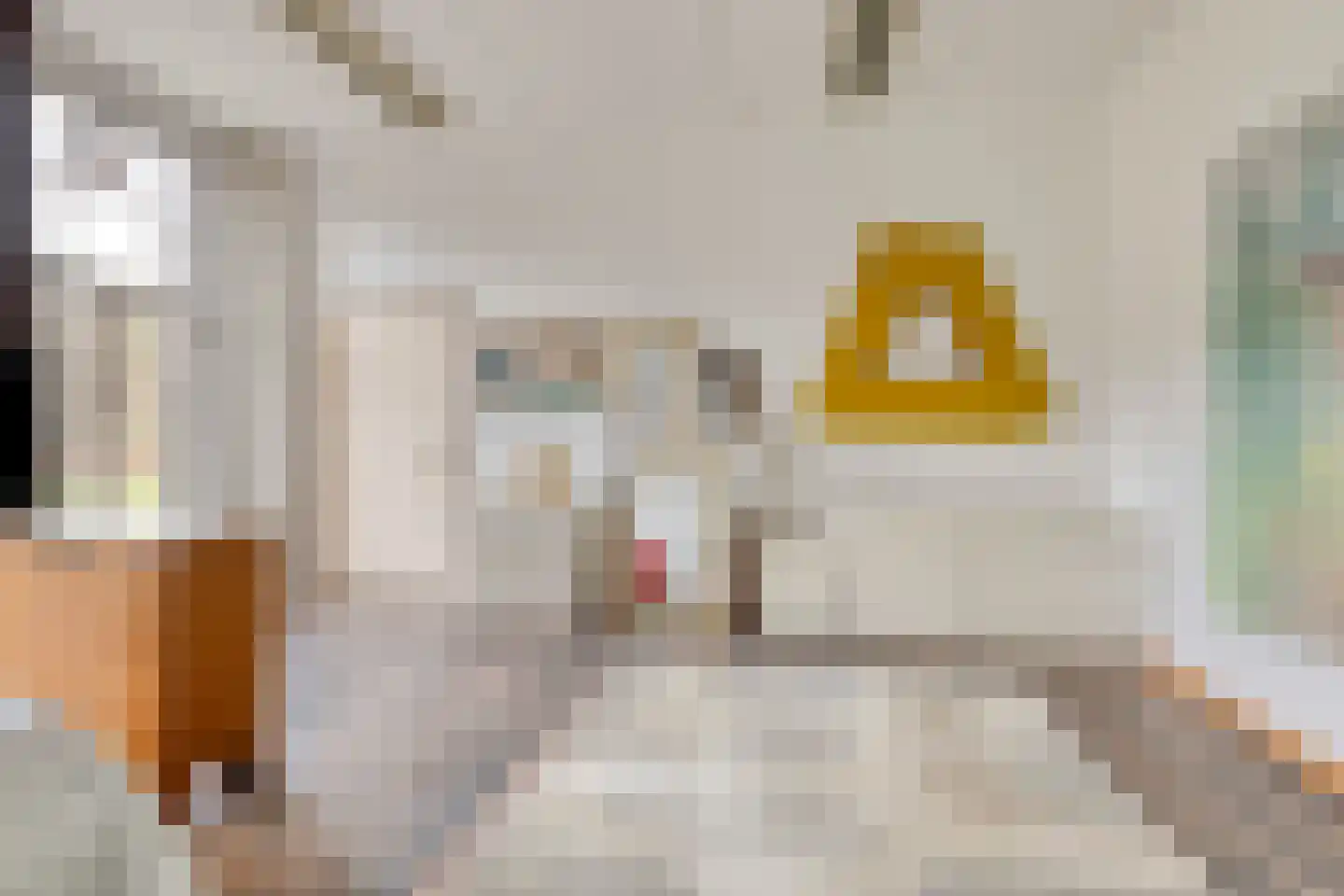 Hoofdstraat 4 De Steeg thumbnail 50