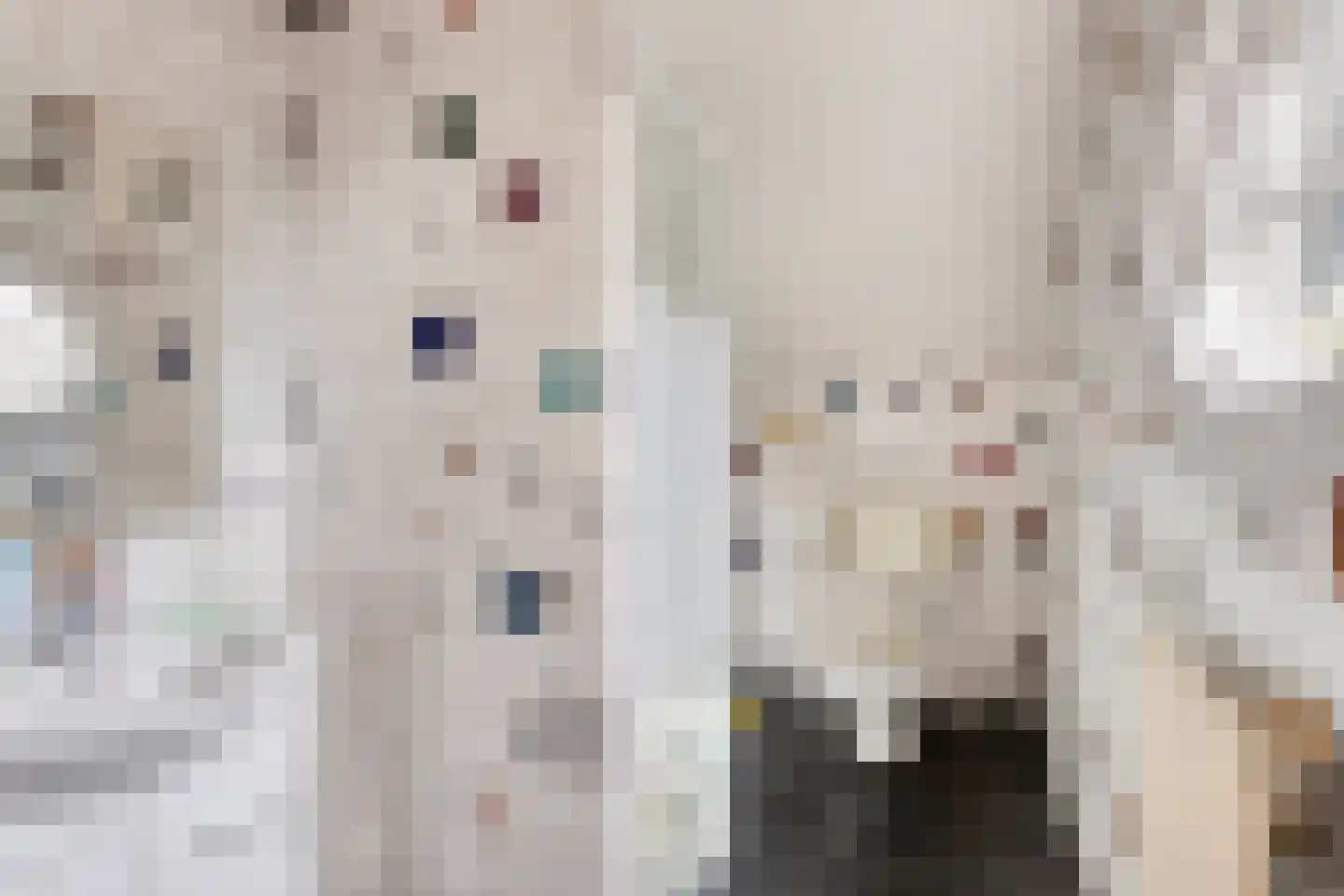 Hoofdstraat 4 De Steeg thumbnail 52