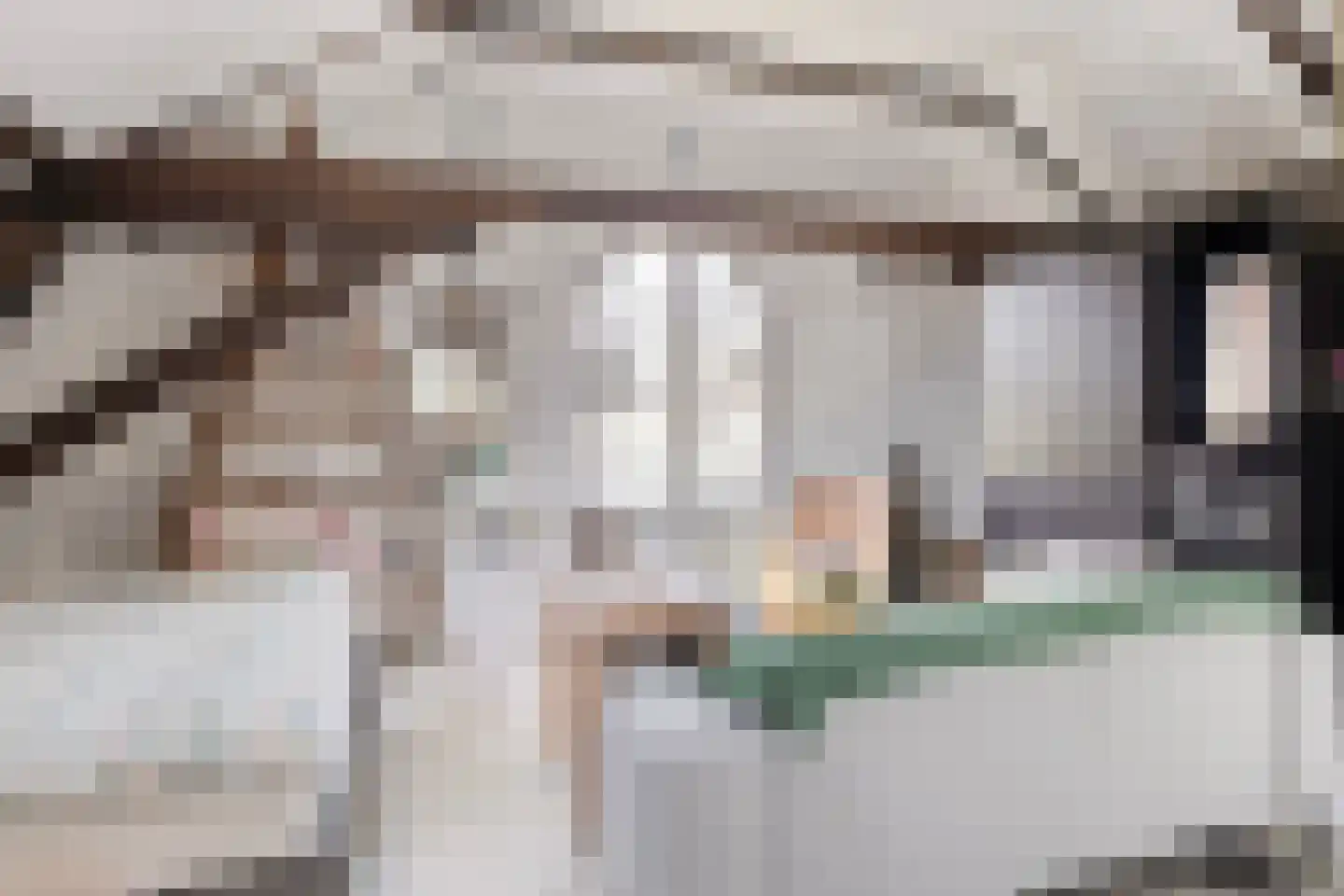 Hoofdstraat 4 De Steeg thumbnail 53