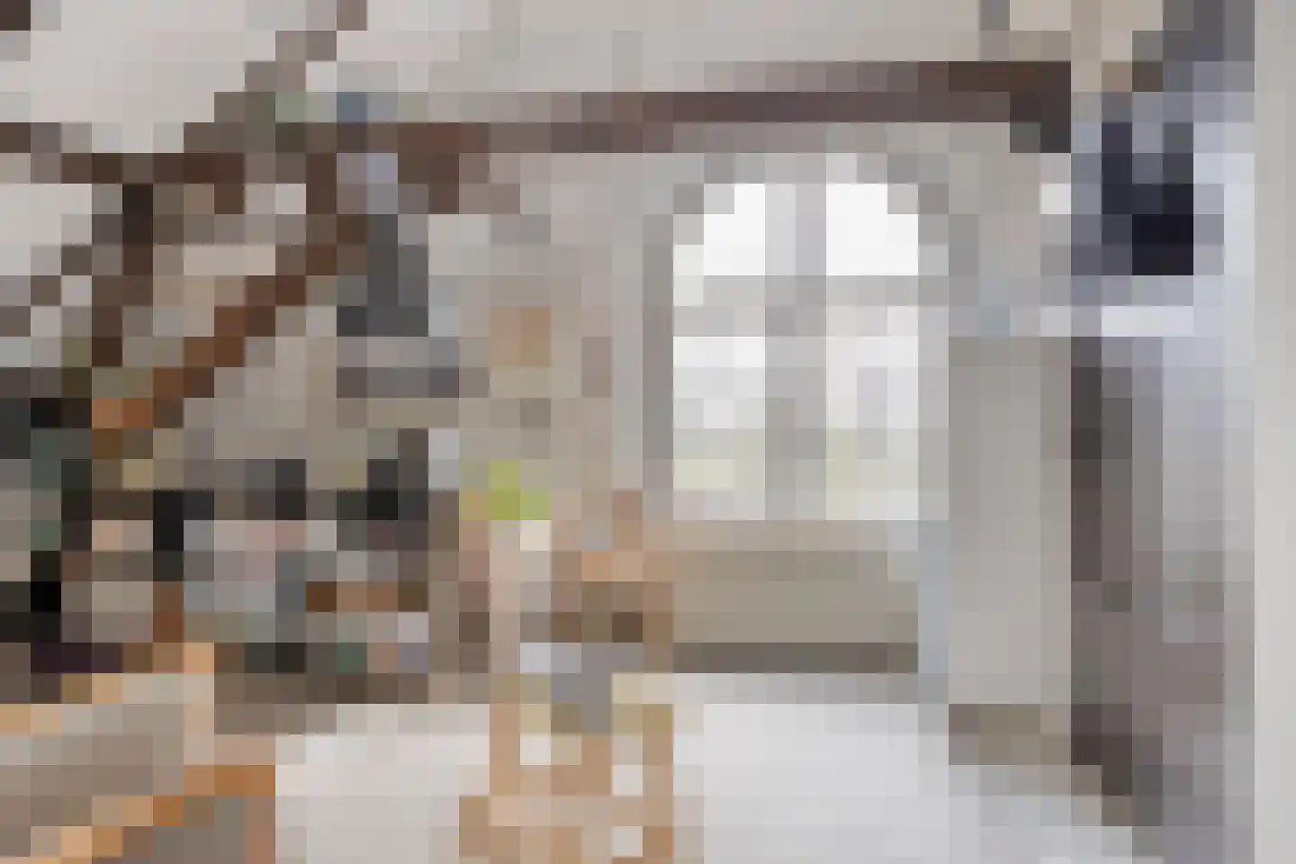 Hoofdstraat 4 De Steeg thumbnail 56