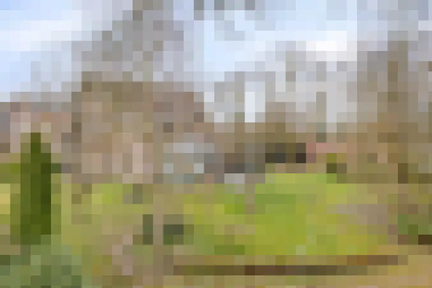 Hoofdstraat 4 De Steeg thumbnail 58