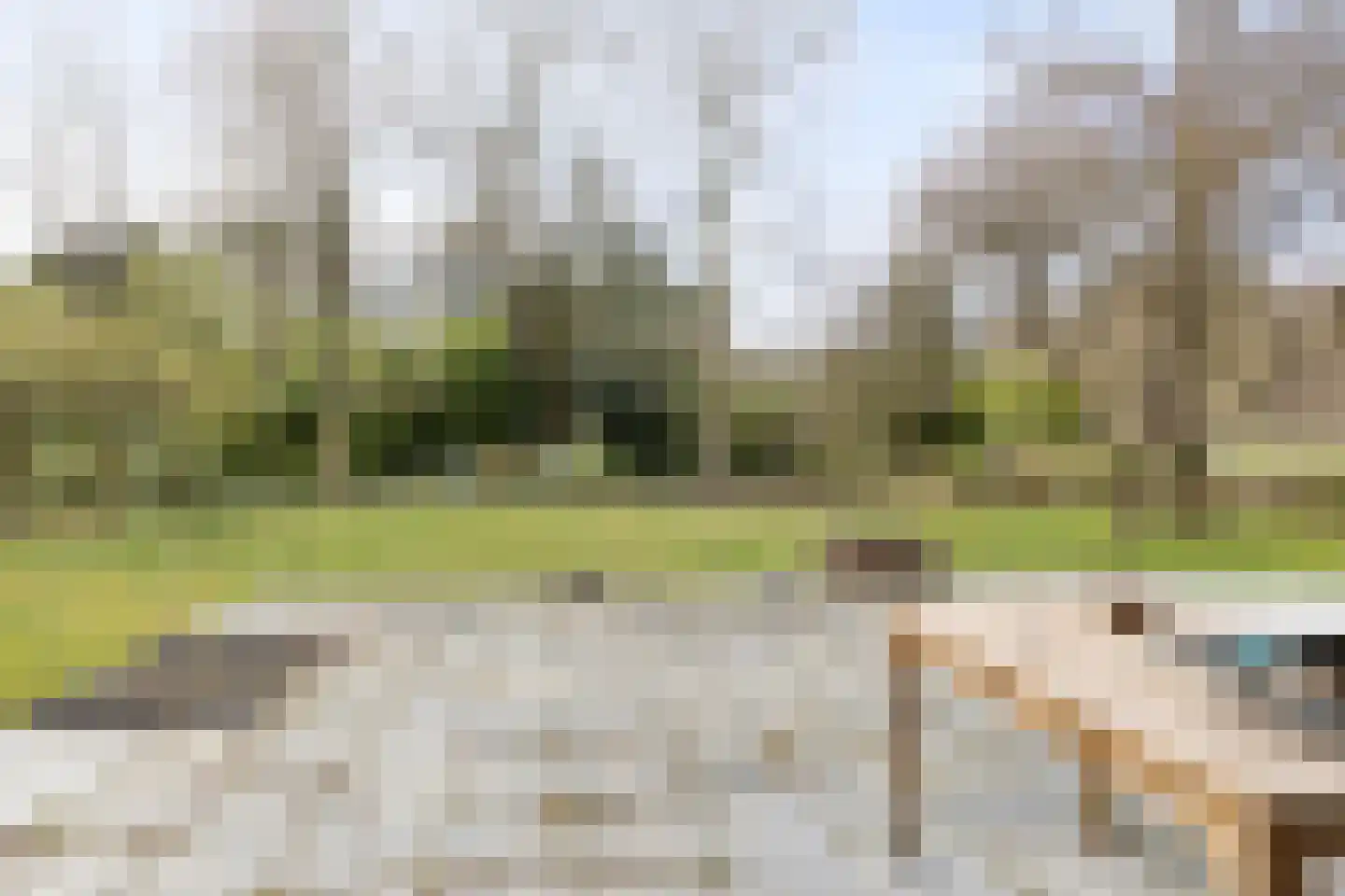 Hoofdstraat 4 De Steeg thumbnail 59