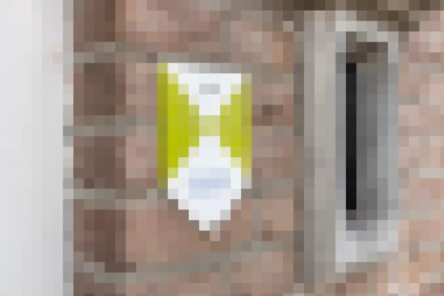 Hoofdstraat 4 De Steeg thumbnail 6