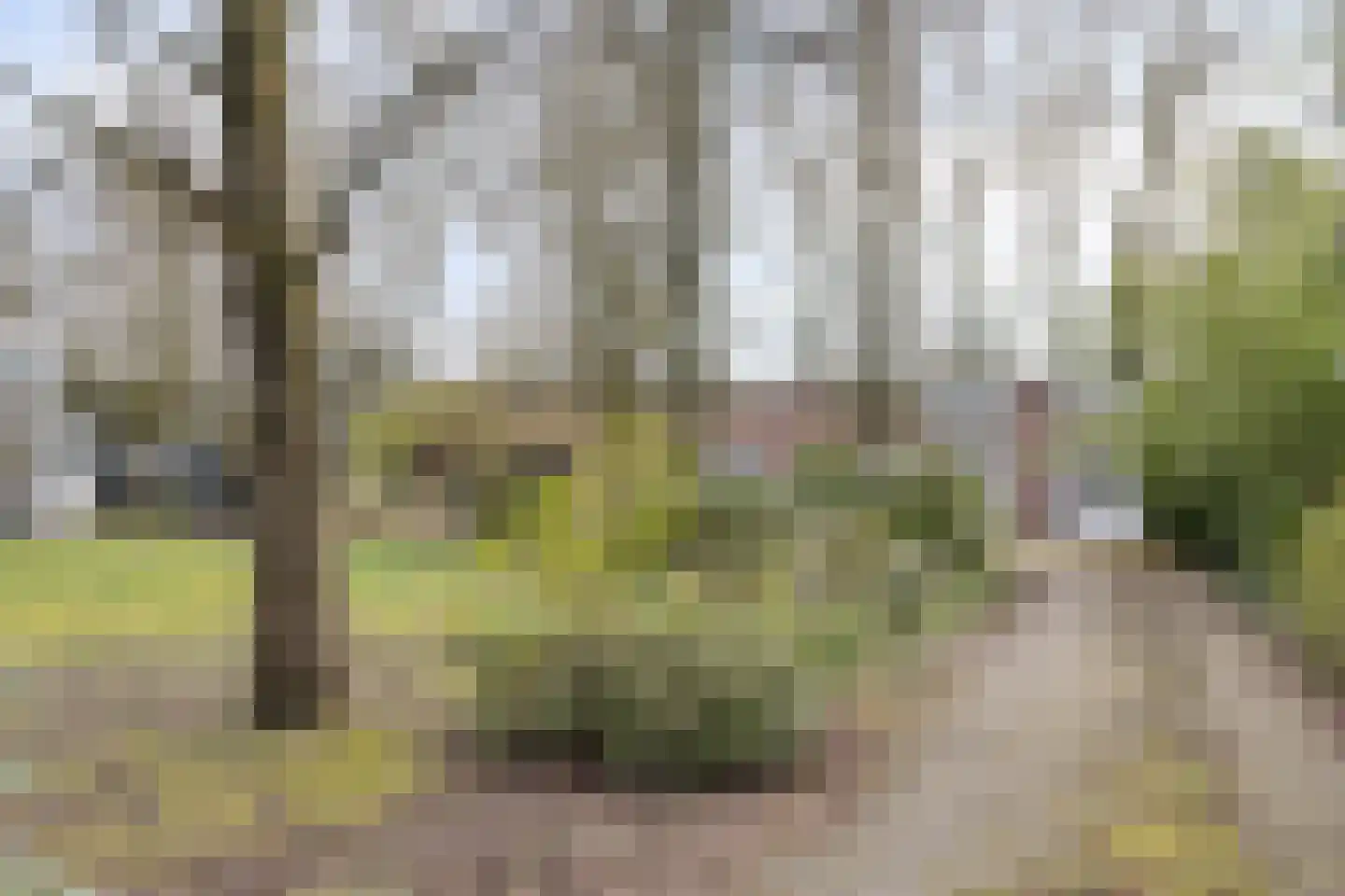 Hoofdstraat 4 De Steeg thumbnail 64