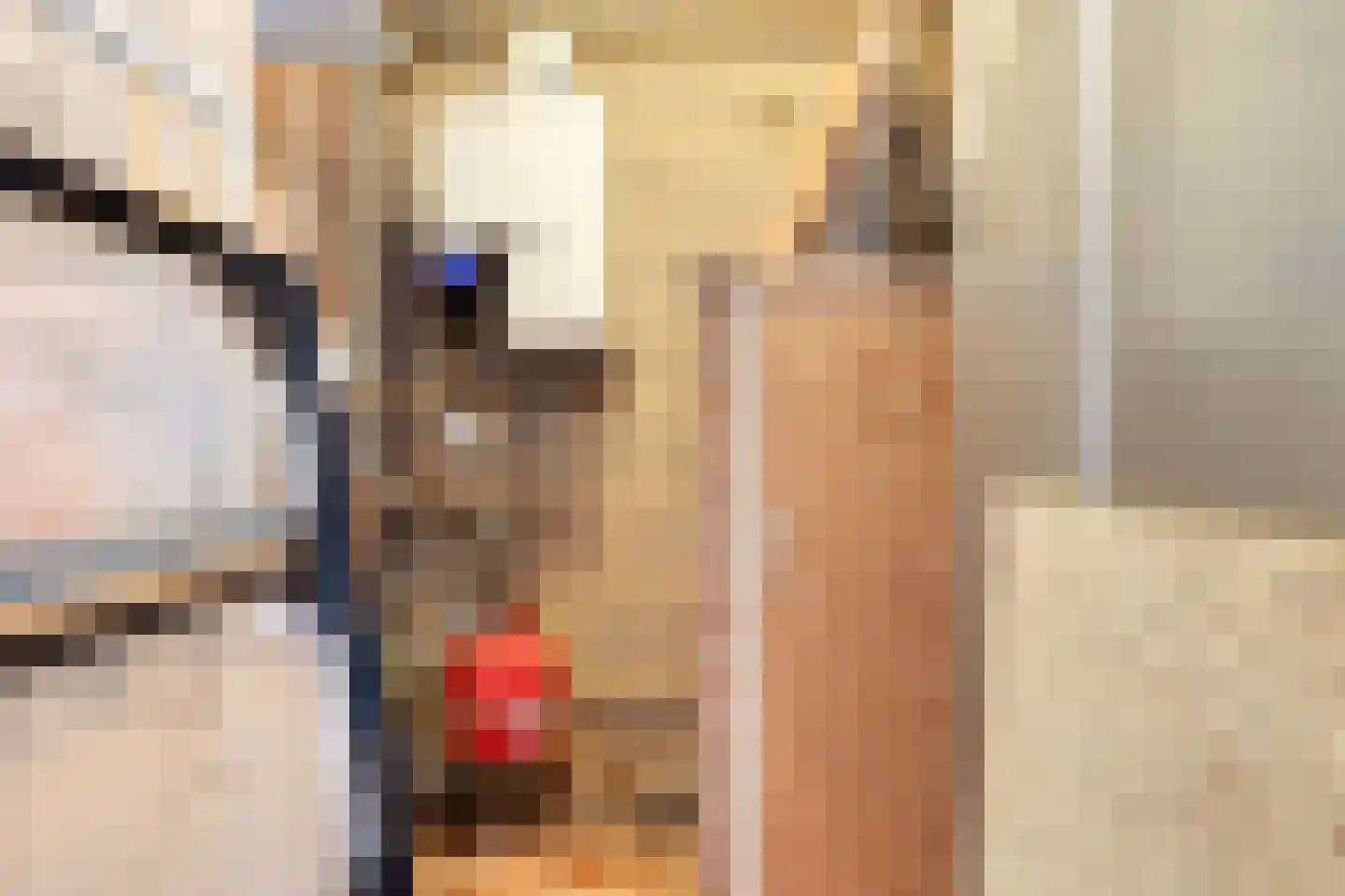 Hoofdstraat 4 De Steeg thumbnail 70