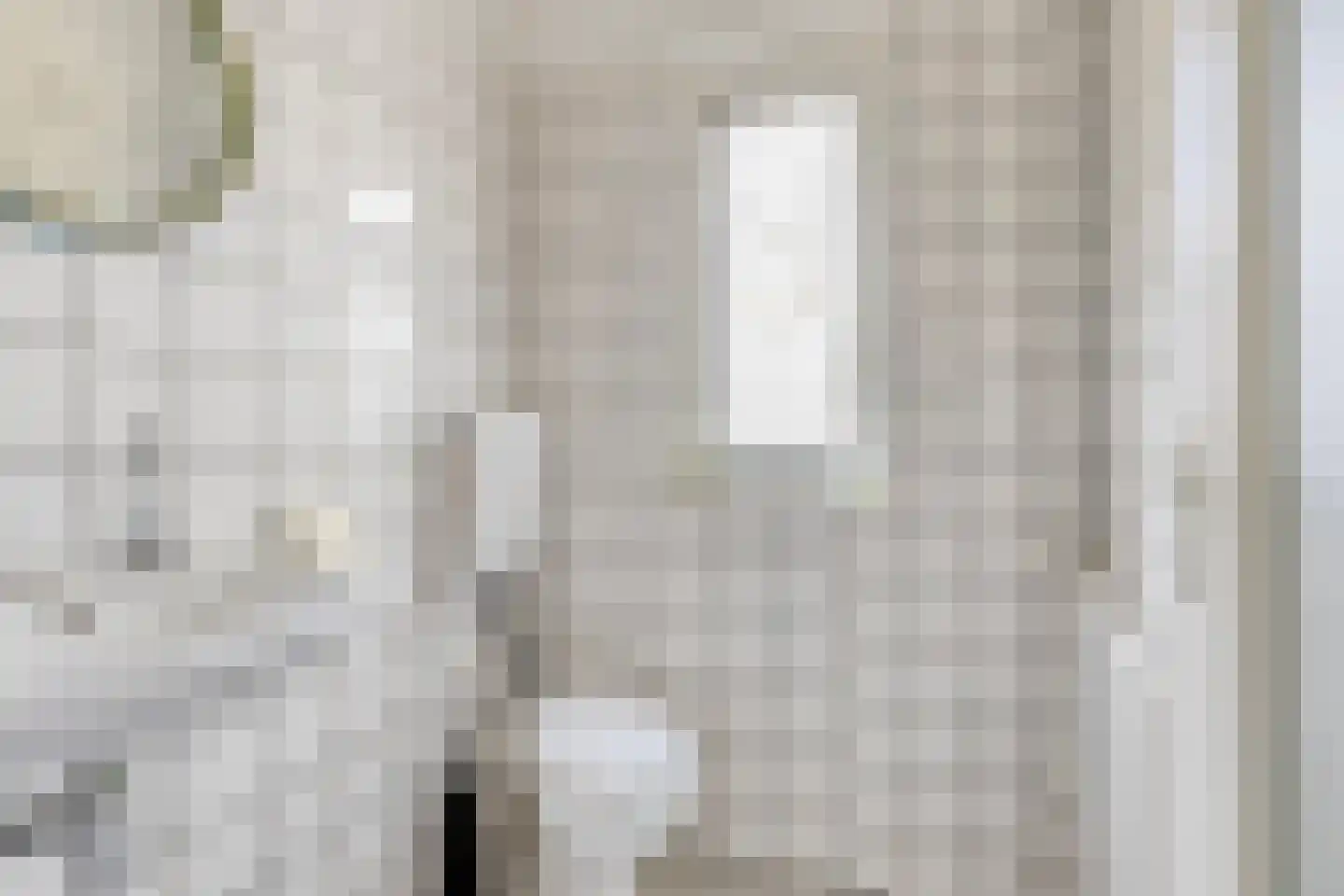 Hoofdstraat 4 De Steeg thumbnail 72