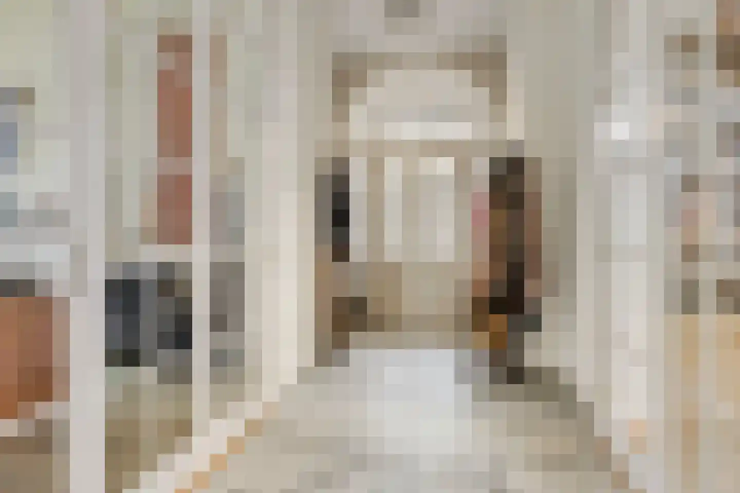 Hoofdstraat 4 De Steeg thumbnail 8