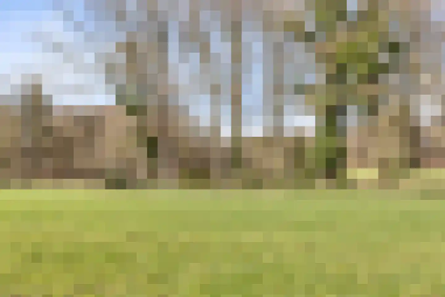 Hoofdstraat 4 De Steeg thumbnail 83