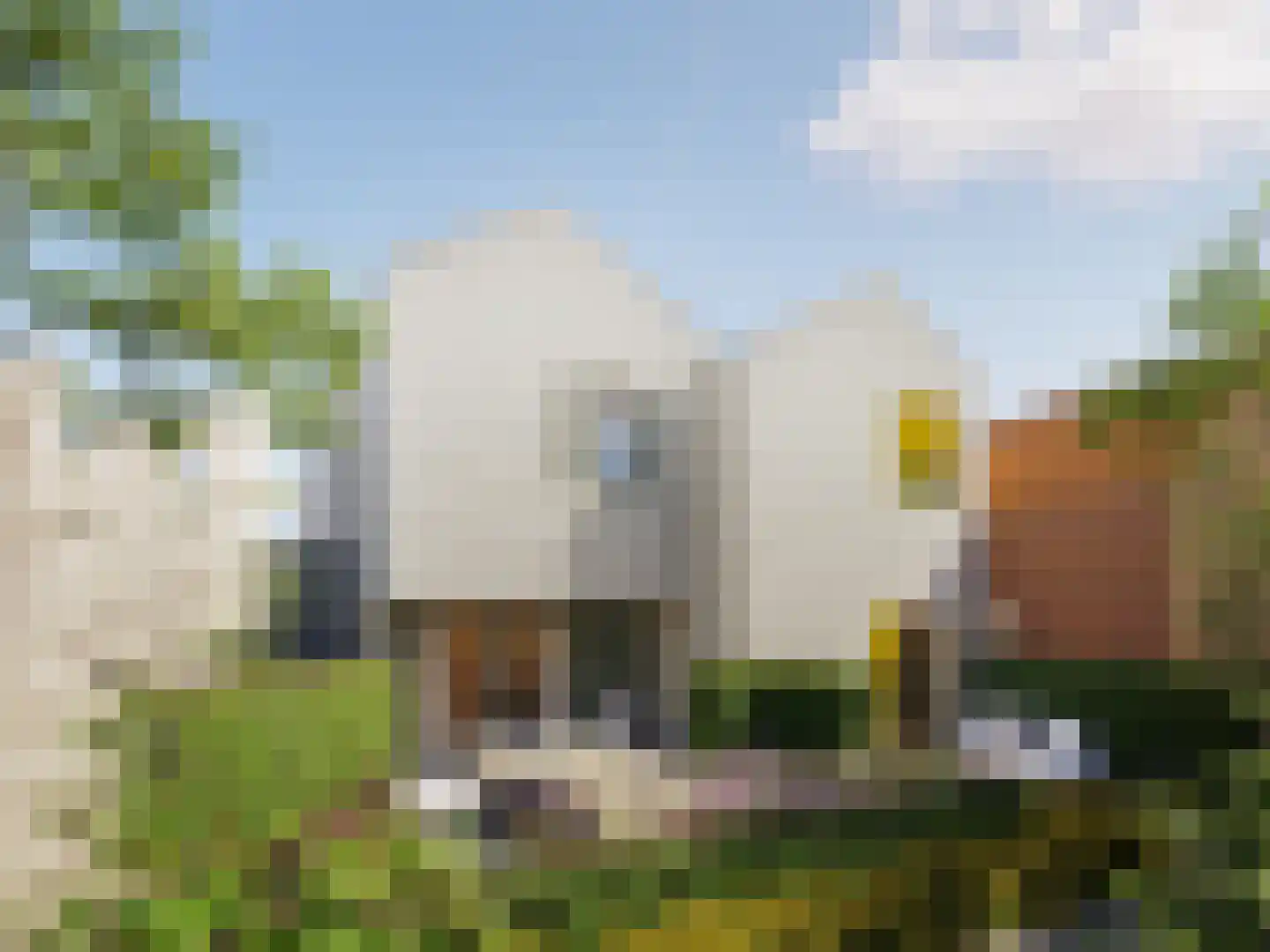 Hoofdstraat 4 Grou thumbnail 4