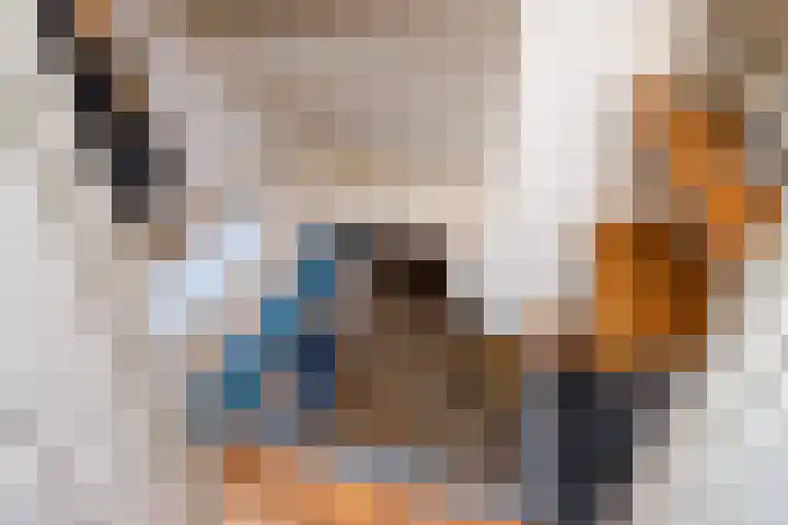 Hoofdstraat 4 Kloosterburen thumbnail 17
