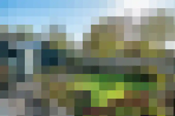 Hoofdstraat 4 Kloosterburen thumbnail 49