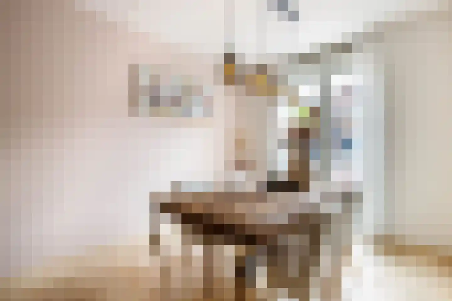 Hoofdstraat 4 Krimpen aan de Lek thumbnail 11