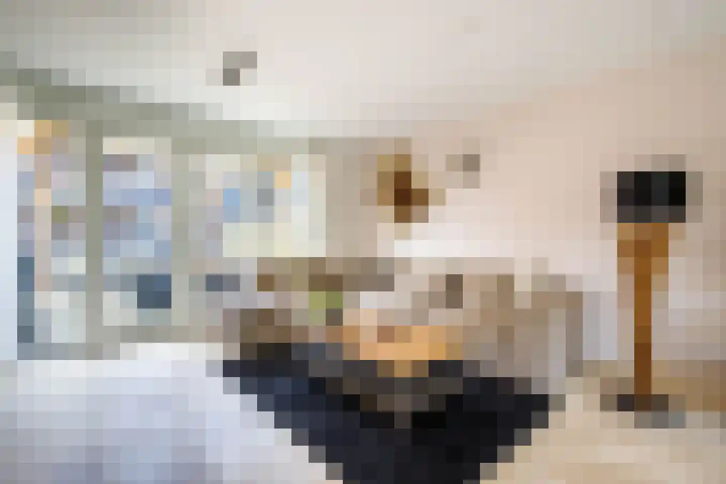 Hoofdstraat 4 Krimpen aan de Lek thumbnail 17