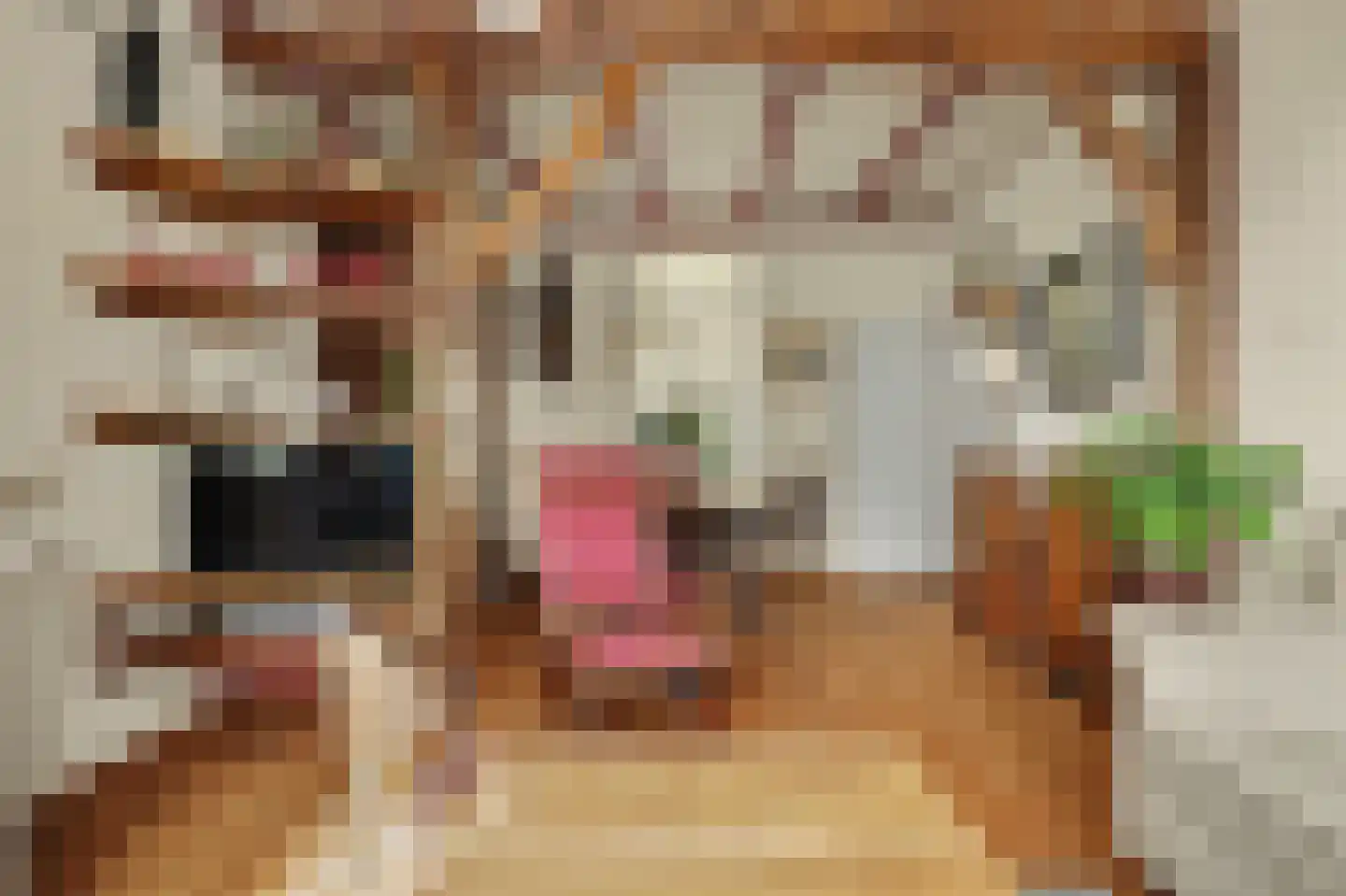 Hoofdstraat 4 Kruiningen thumbnail 10