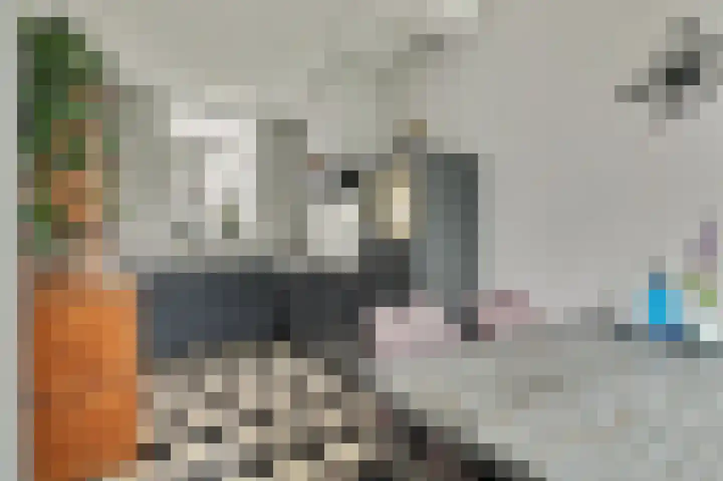 Hoofdstraat 4 Kruiningen thumbnail 15