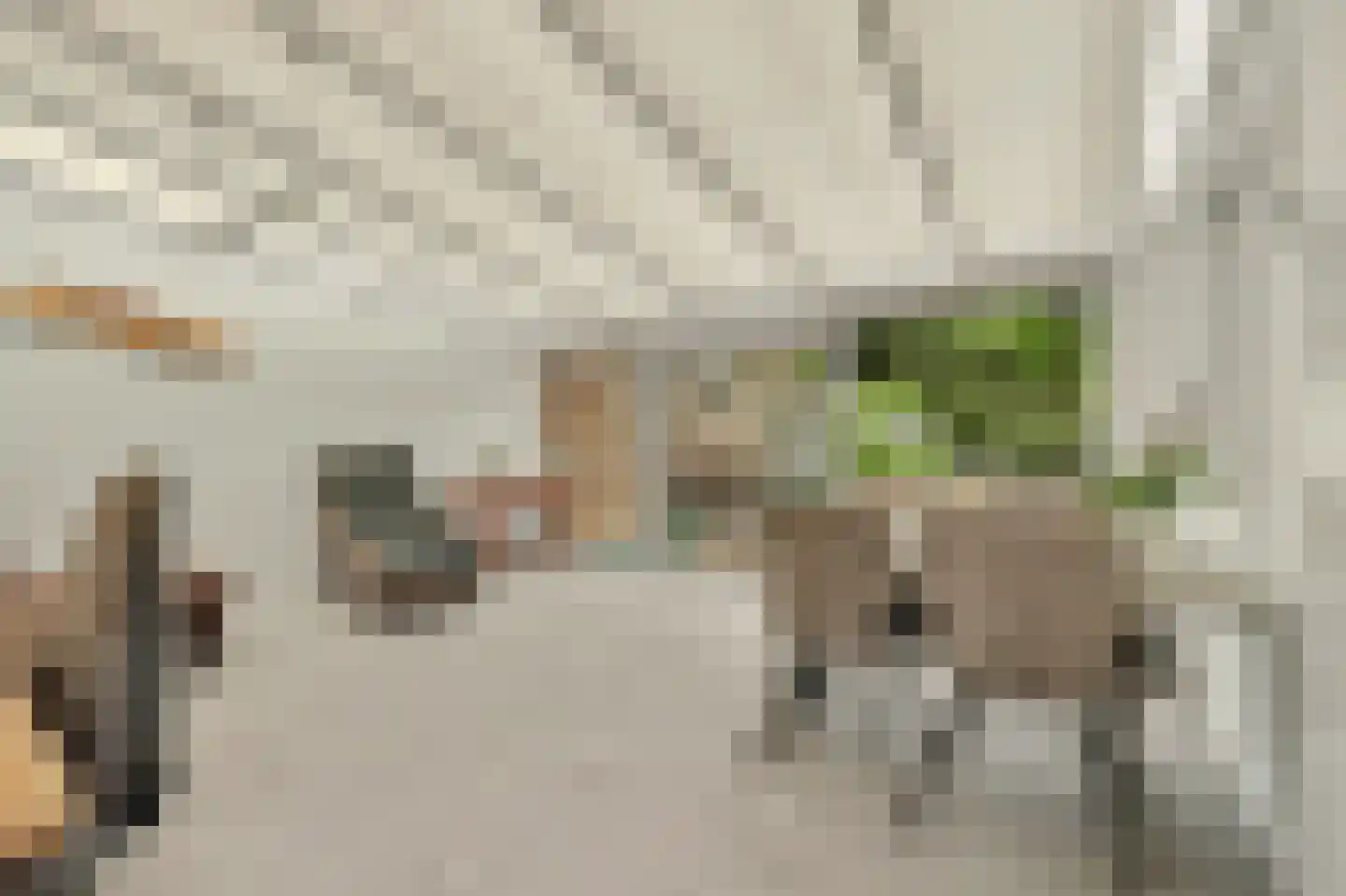 Hoofdstraat 4 Kruiningen thumbnail 19