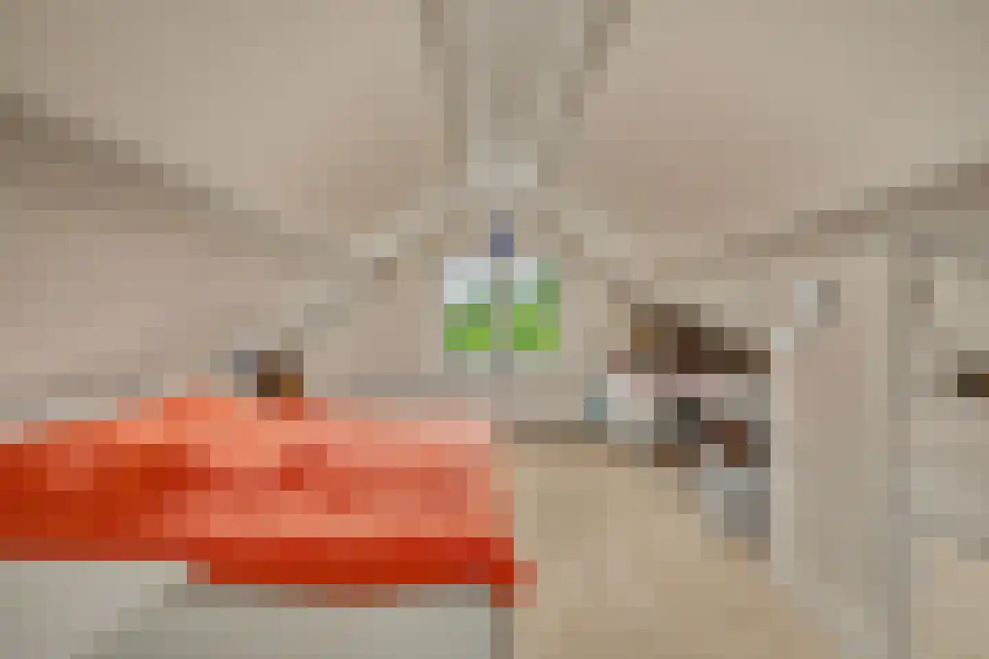 Hoofdstraat 4 Kruiningen thumbnail 34