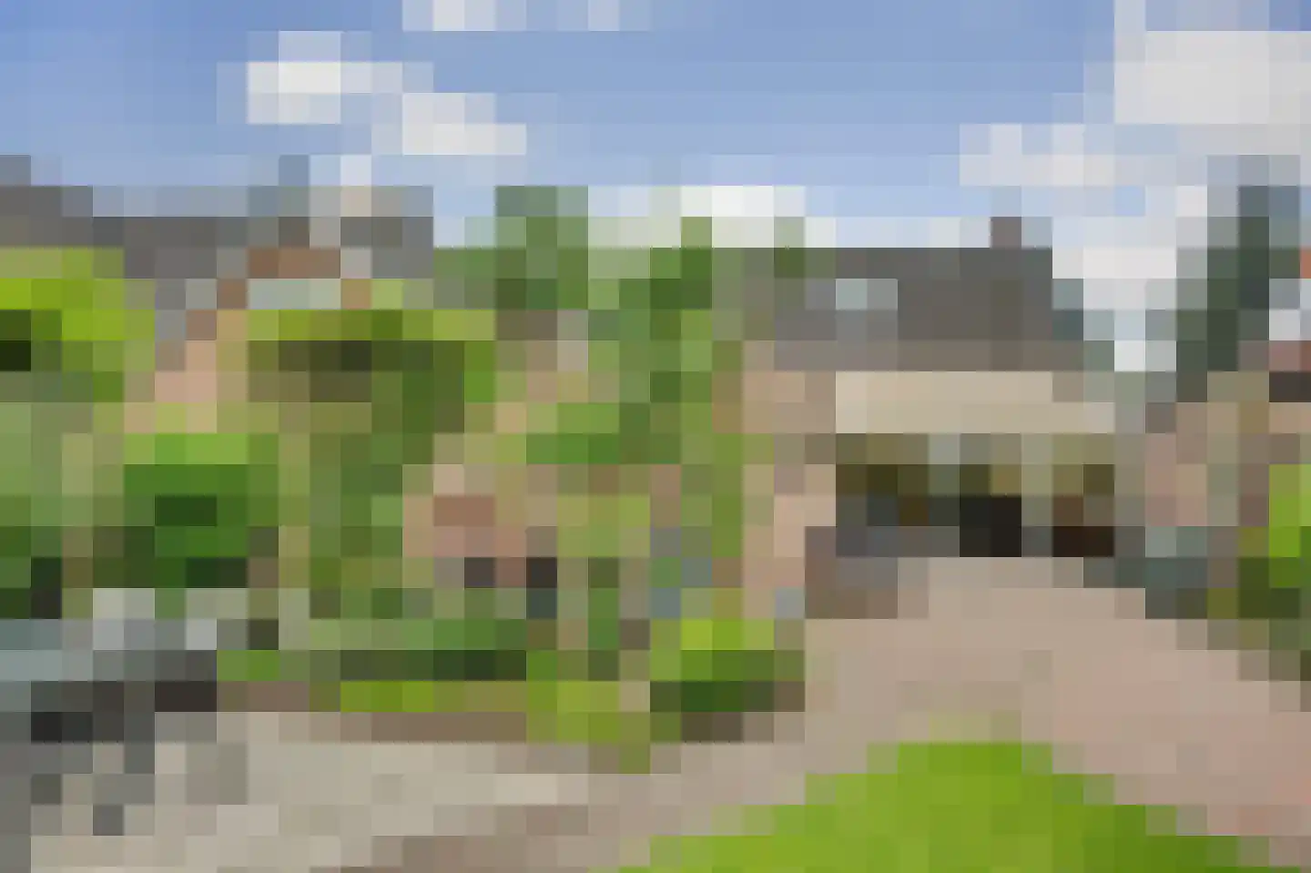 Hoofdstraat 4 Kruiningen thumbnail 36