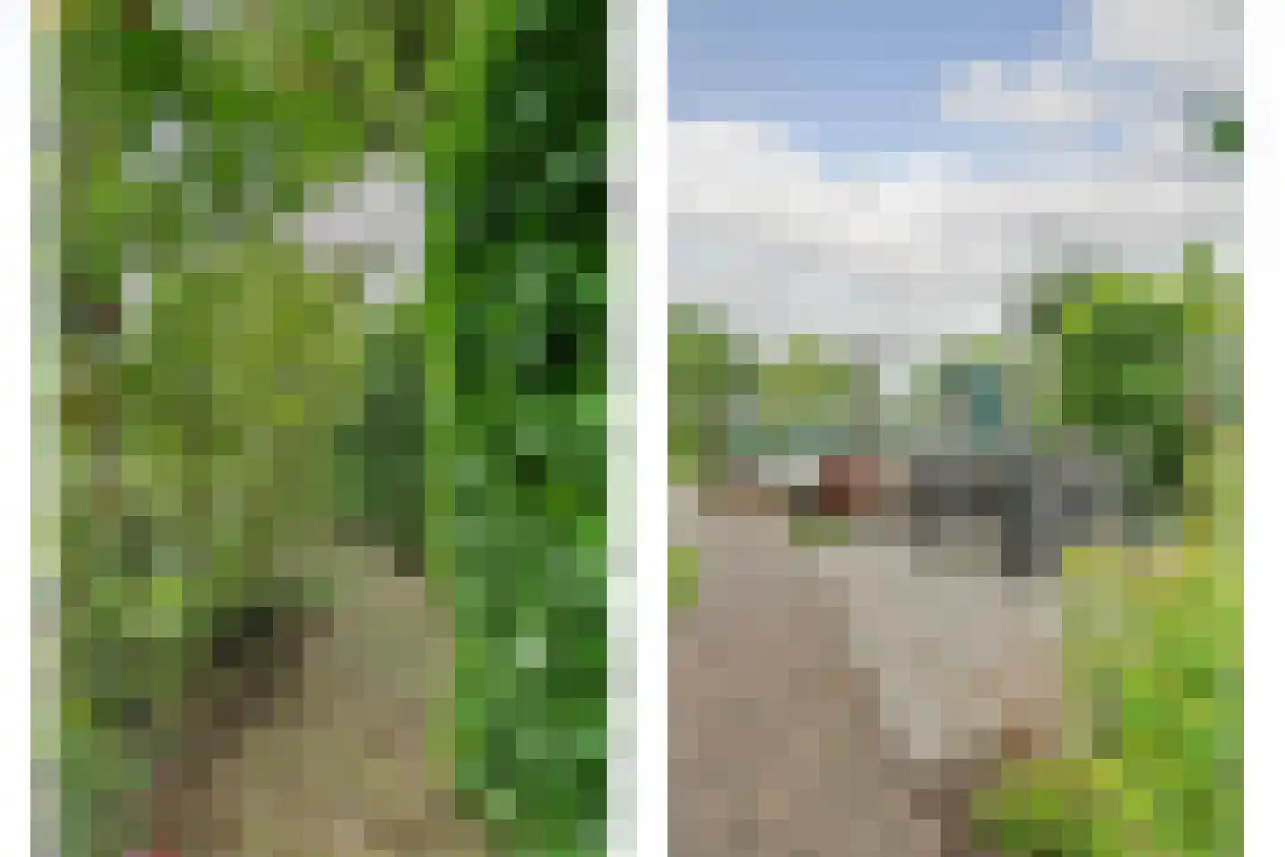 Hoofdstraat 4 Kruiningen thumbnail 43