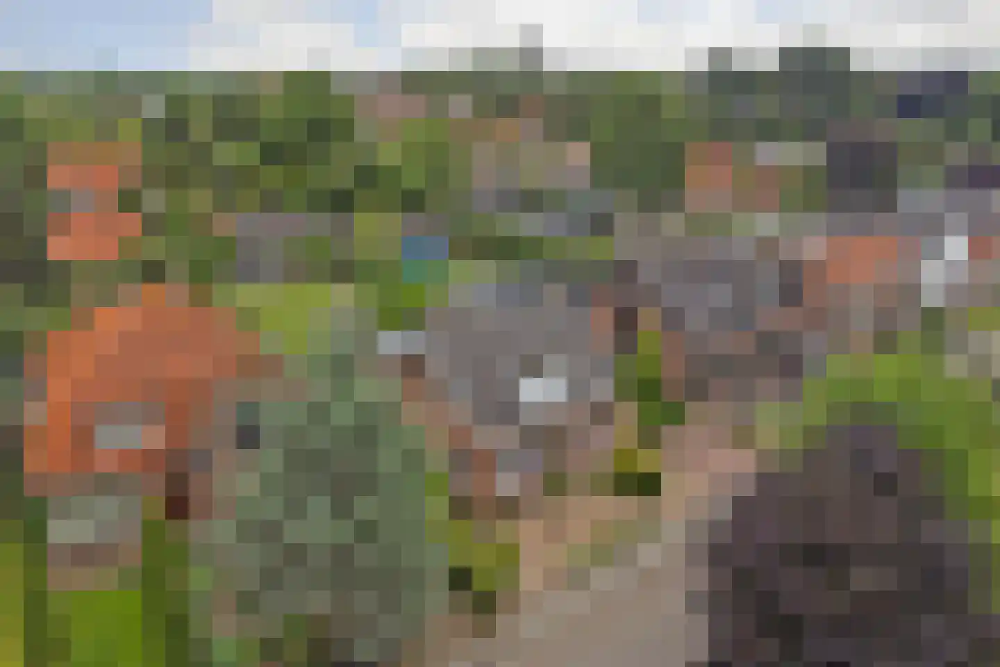 Hoofdstraat 4 Kruiningen thumbnail 55