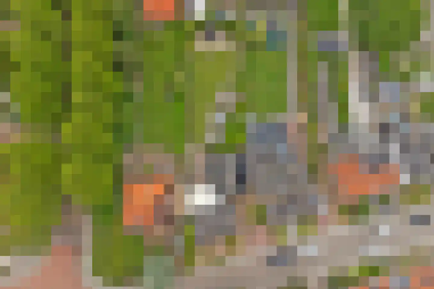 Hoofdstraat 4 Kruiningen thumbnail 58