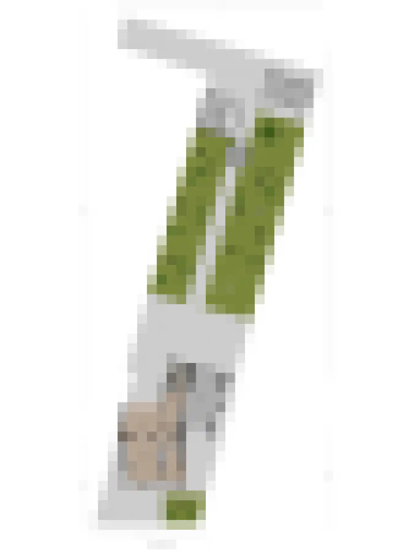 Hoofdstraat 4 Kruiningen thumbnail 67