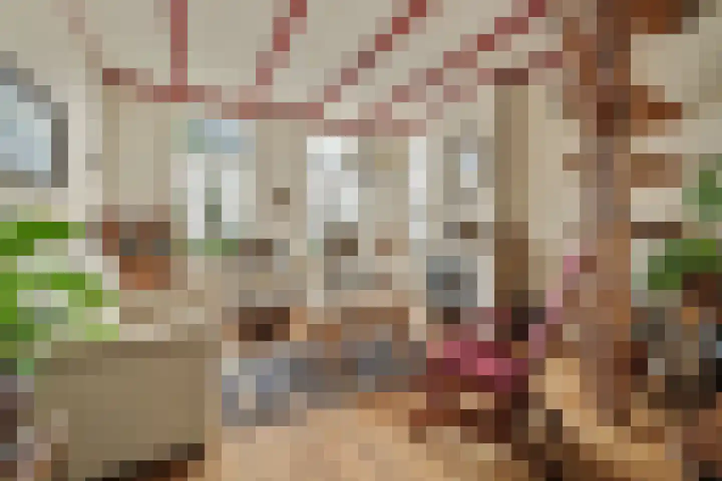 Hoofdstraat 4 Kruiningen thumbnail 8
