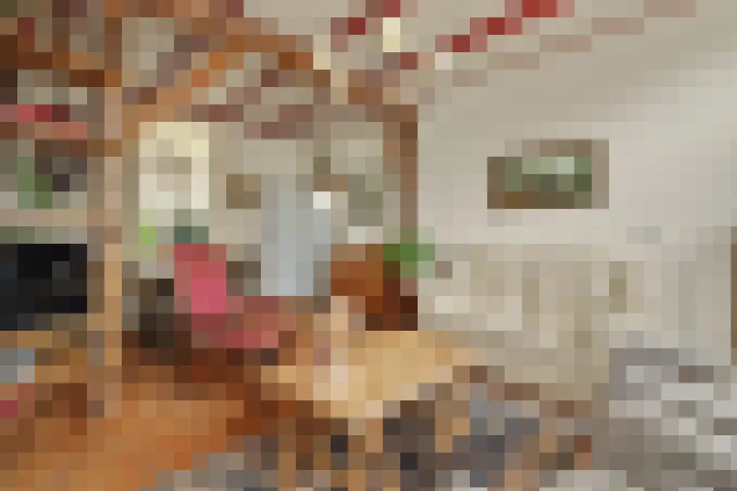 Hoofdstraat 4 Kruiningen thumbnail 9