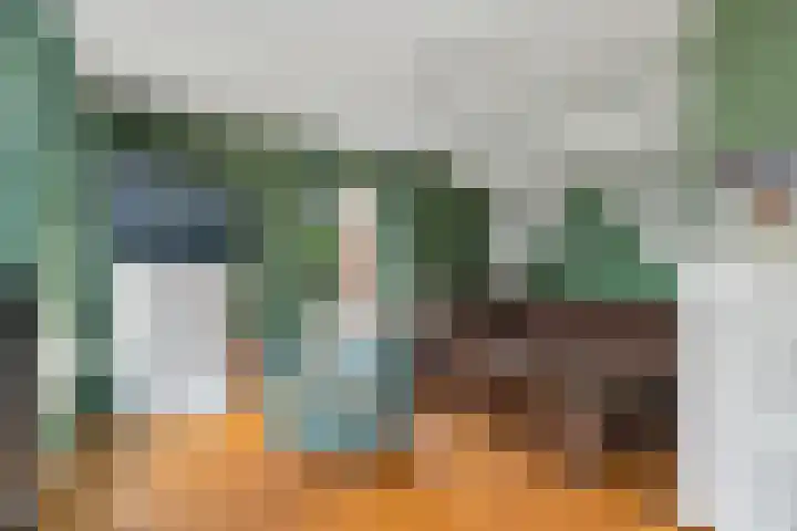 Hoofdstraat 4 Nieuwolda thumbnail 23