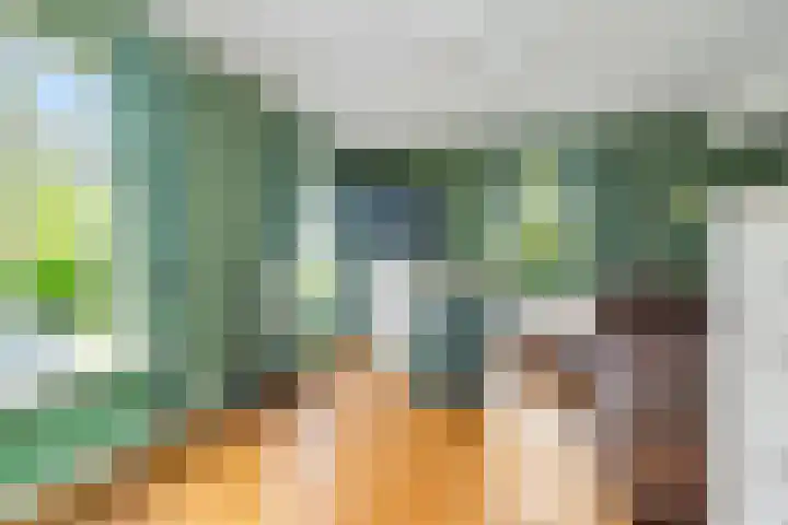Hoofdstraat 4 Nieuwolda thumbnail 24