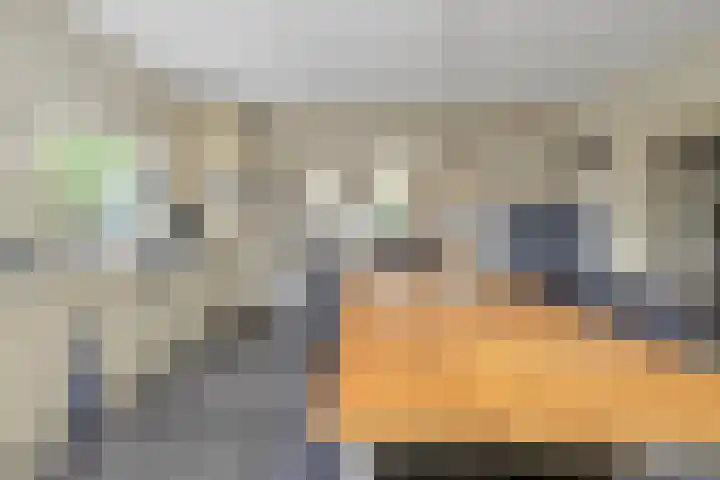 Hoofdstraat 4 Nieuwolda thumbnail 28