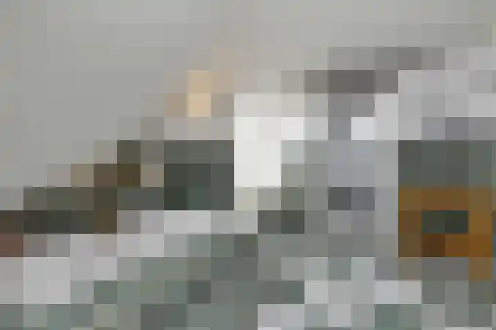 Hoofdstraat 4 Nieuwolda thumbnail 36