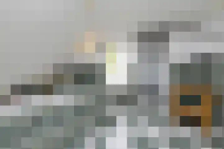Hoofdstraat 4 Nieuwolda thumbnail 38