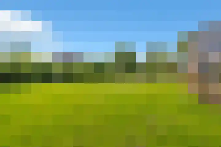 Hoofdstraat 4 Nieuwolda thumbnail 69