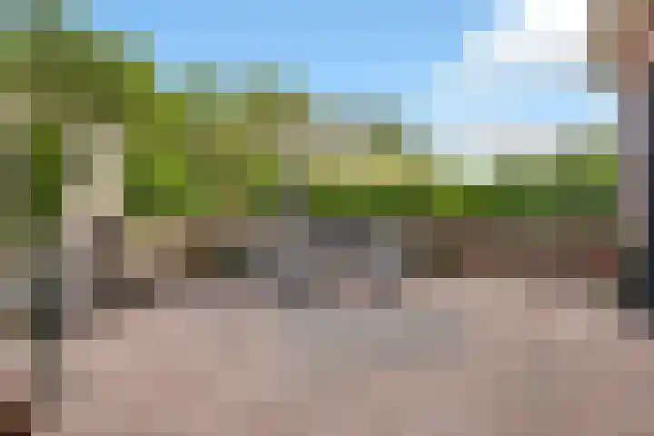 Hoofdstraat 4 Nieuwolda thumbnail 75