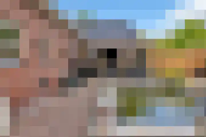 Hoofdstraat 4 Nieuwolda thumbnail 78