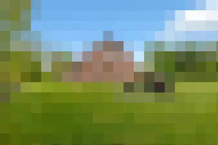 Hoofdstraat 4 Nieuwolda thumbnail 80
