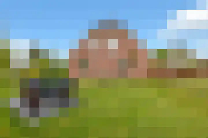 Hoofdstraat 4 Nieuwolda thumbnail 81