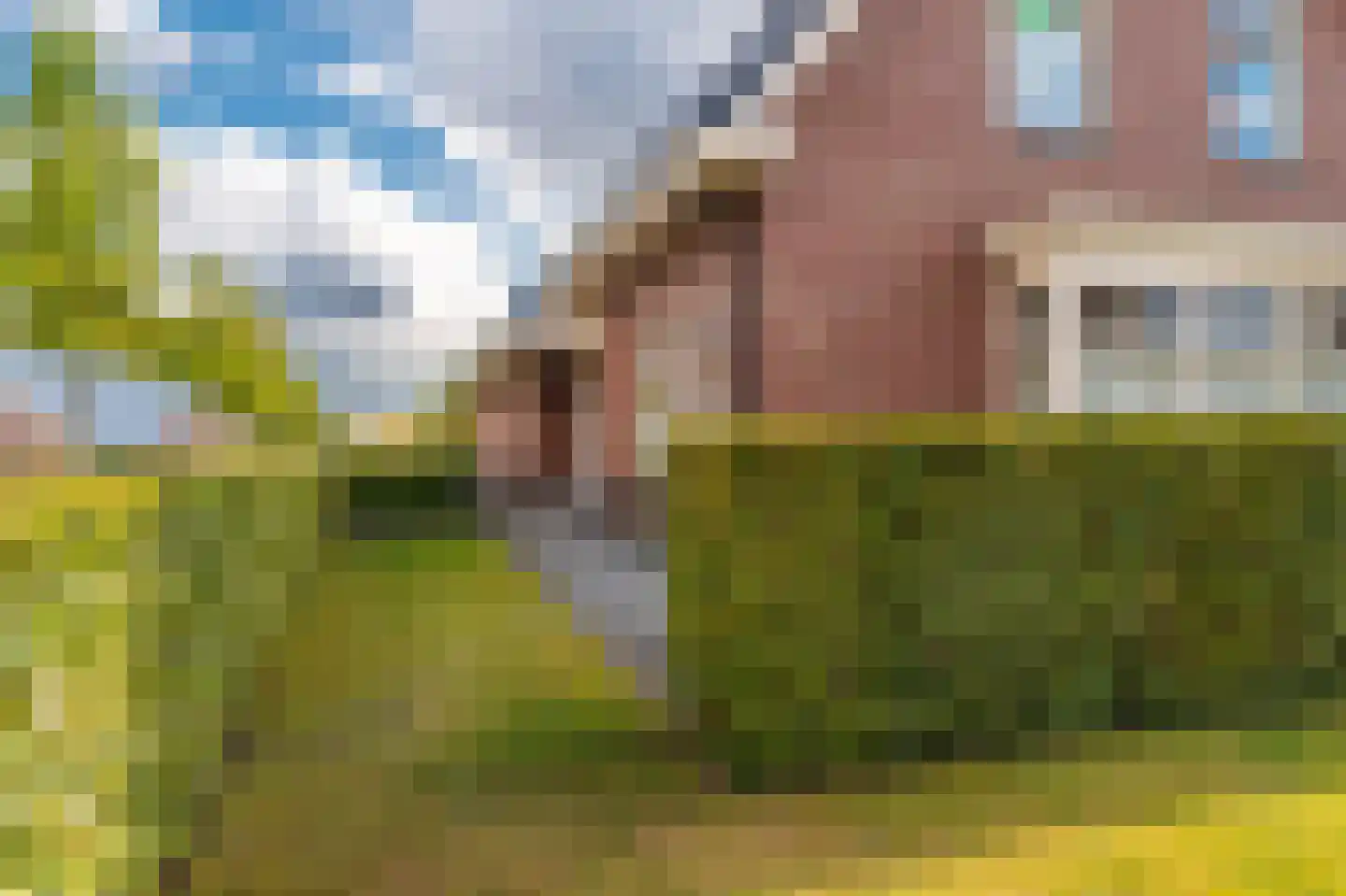 Hoofdstraat 40 Noordbroek thumbnail 10