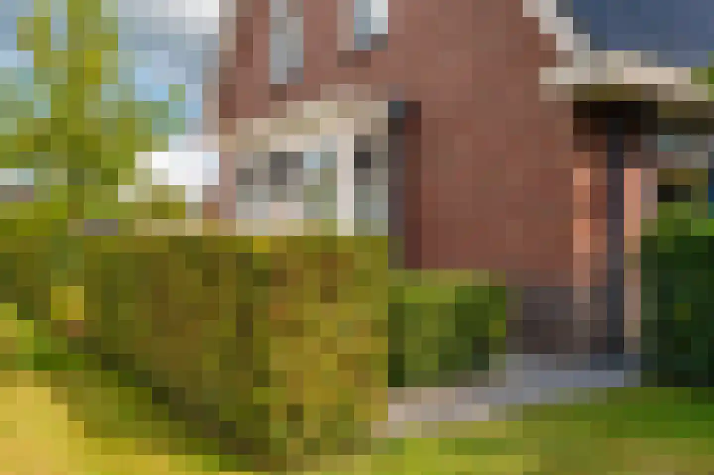 Hoofdstraat 40 Noordbroek thumbnail 12