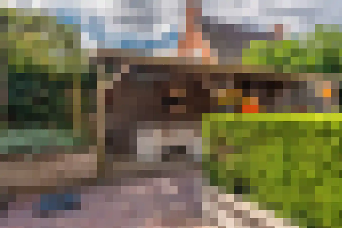 Hoofdstraat 40 Noordbroek thumbnail 4