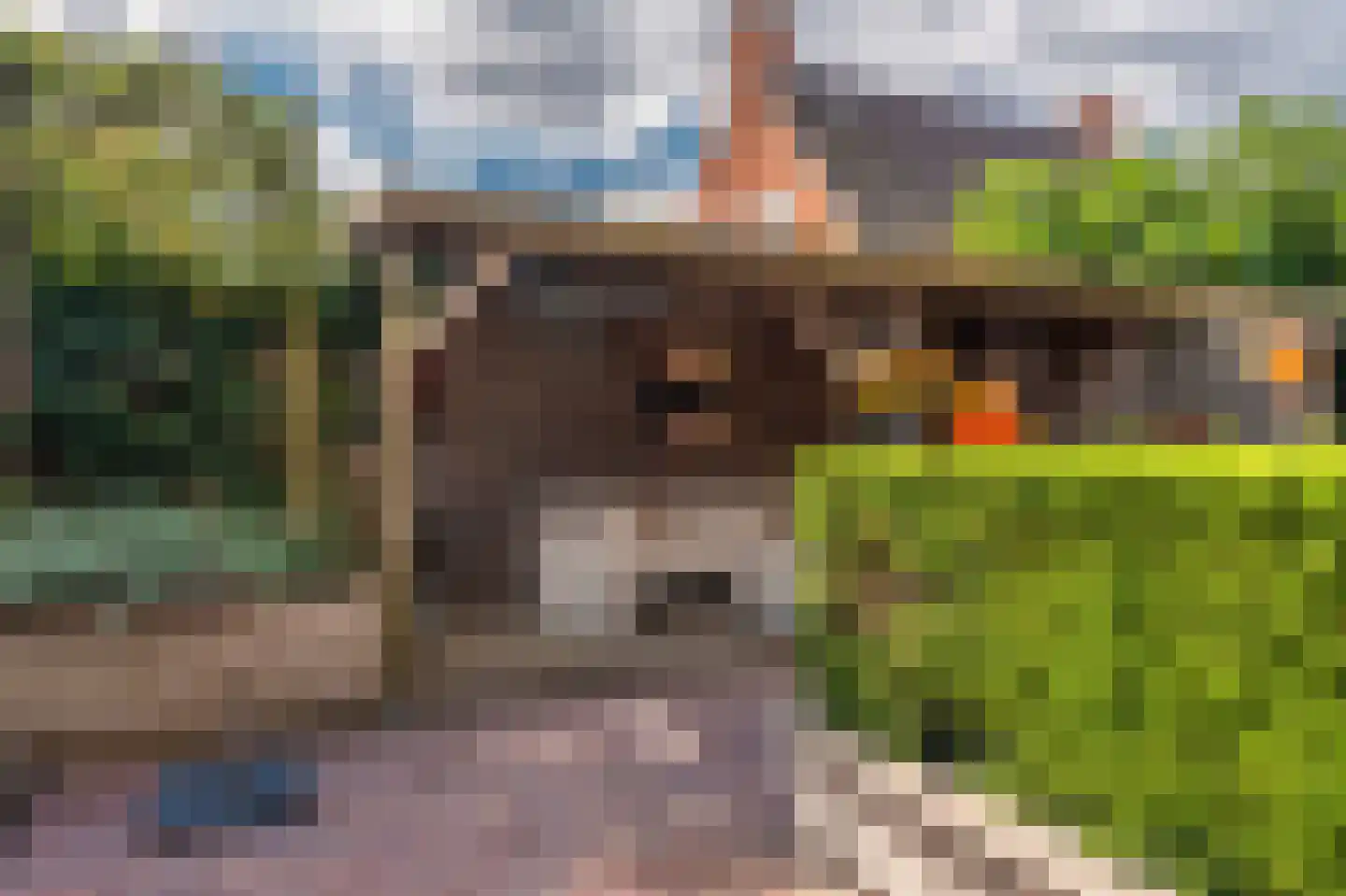Hoofdstraat 40 Noordbroek thumbnail 65