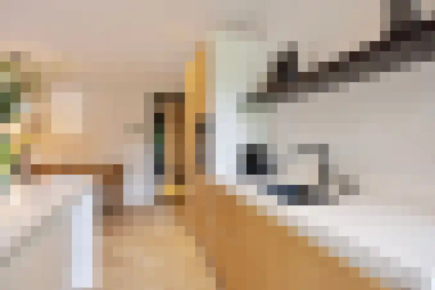 Hoofdstraat 41 13 Epe thumbnail 16